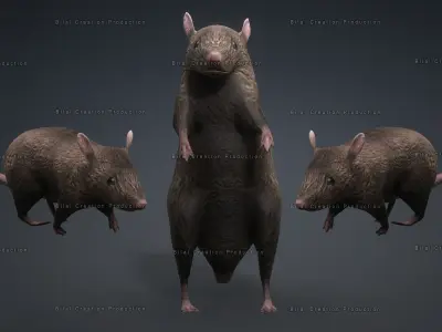MOUSE GRAY RAT ANIMATED Low-poly 3D model