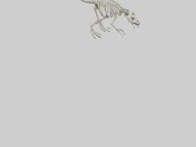 guanodon Skeleton model Low-poly 3D model