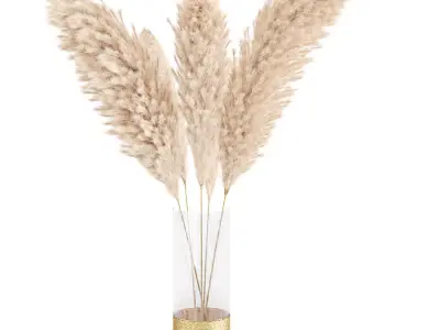 bouquet of pampas vol01 3D model