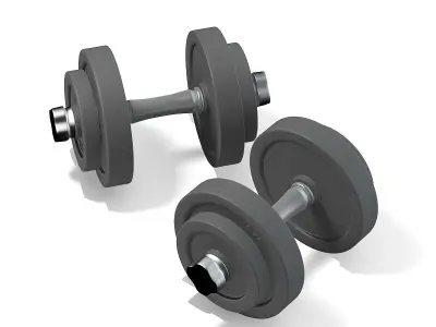 Dumbbells 3D model
