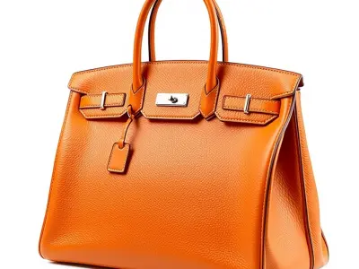 Elegant Orange Handbag D Model Pack Low-poly 3D model