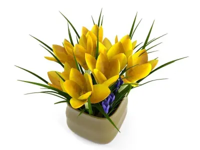 crocus yellow 3D model