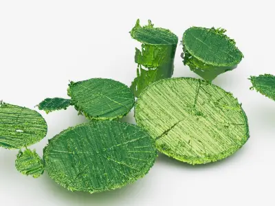  Firewood log tops 3d scan 3D model