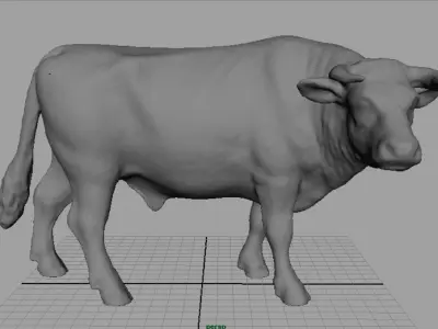 Holstein Bull  Low-poly 3D model
