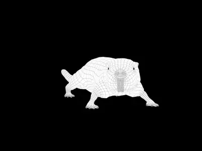 Naked Mole Rat Low-poly 3D model