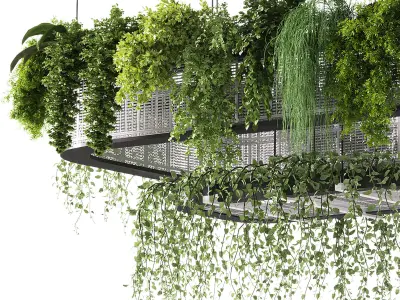 indoor plants - 62 Hanging indoor plant 3D model