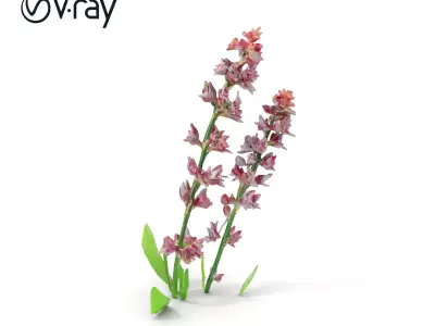 Purple Flower Model Pack with Detailed Textures Low-poly 3D model