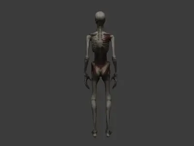 Bloody Skeleton Enemy Model Perfect for Horror Games Free low-poly 3D model