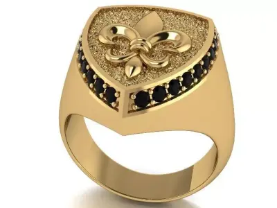 Lily Ring  3D print model