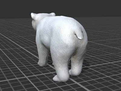 Polar Bear Cub Low-poly 3D model