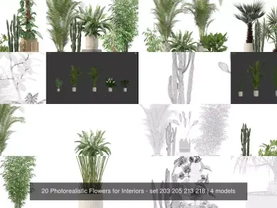 20 Photorealistic Flowers for Interiors - set 203 205 213 218 3D Model Collection