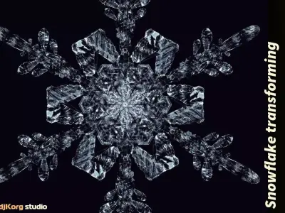 Snowflake transforming 3d animation Low-poly 3D model