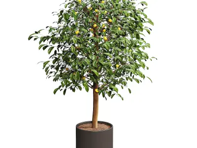 LIMON DECOR 01 3D model