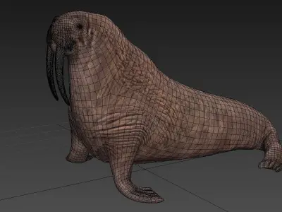 Walrus 3D model