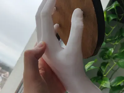 HAND SHELF 3D print model