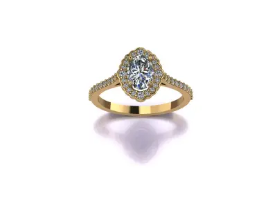 Ring S257 3D print model