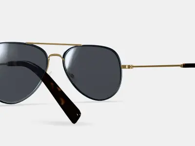 Raider Sunglasses in Brushed Ink with Polished Gold 3D model