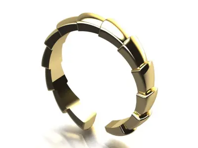 Ring Chesh 3D print model