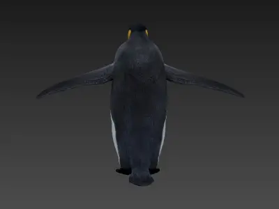 penguin Low-poly 3D model