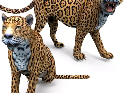 Rigged And Animated Leopard Low-poly 3D model