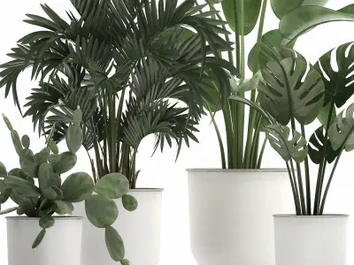 Collection of decorative plants in white flowerpots 927 3D model