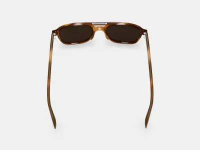 Brimmer Sunglasses in Black Walnut 3D model