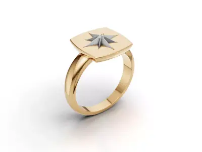 ring men 3D print model