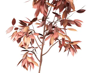 Plants Bouquet 10 3D model