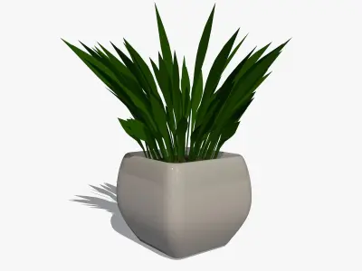 Plant in a Pot 3D model