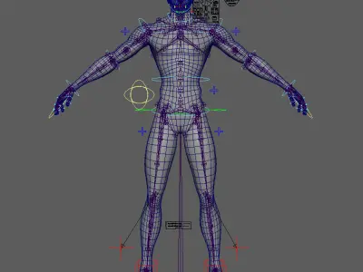 Rigged Base Male Model For Games and Film Low-poly 3D model