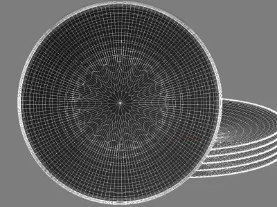 Plate Central Asia 2 3D model