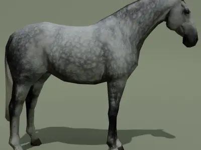 LowPoly Horse B Dapple grey Low-poly 3D model