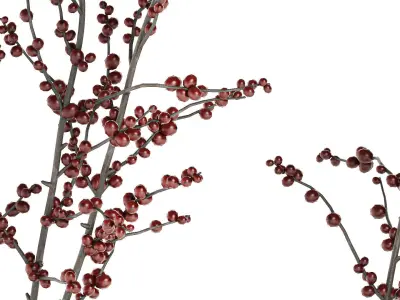 Minimalistic bouquet of branches with red ilex berries 350 3D model