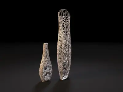 Decorative vases for dry wood 3D print model purchase