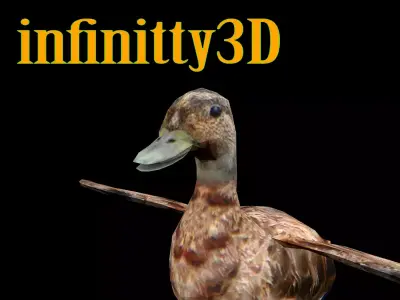 Duck 3D Low-poly 3D model purchase