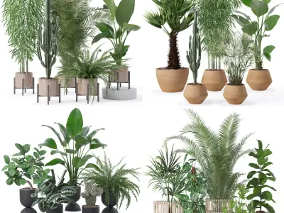 20 Photorealistic Flowers for Interiors - set 124 129 136 137 3D Model Collection