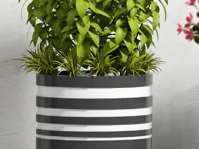 Decorative plant set-46 3D model