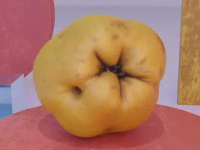 Quince fruit 01 high-poly 3D model