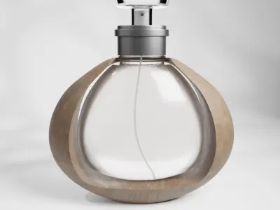 Luxury Wooden Framed Perfume Bottle  Elegant  Modern Design 3D model