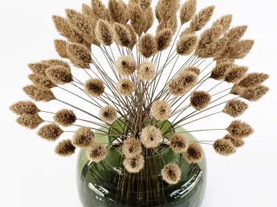 Pampas Plant 02 Low-poly 3D model