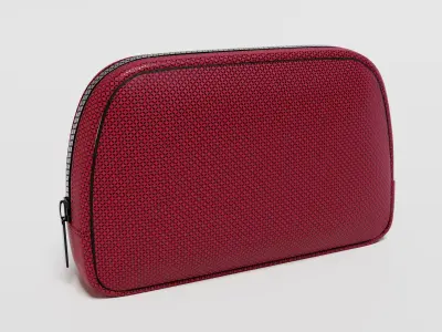 Burgundy Purse 3D model