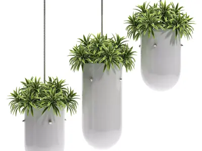 Hanging vase 3D model