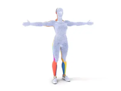 Vibrant Fitness Attire model pack Low-poly 3D model