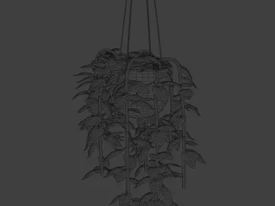 Pothos plants 3D model