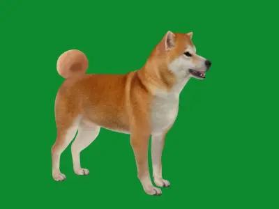 Japanese Shiba Inu Dog Low-poly 3D model