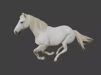 Animated White Horse 3D model