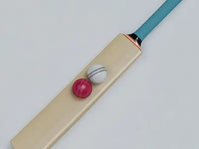 Cricket Bat and Ball 3D model