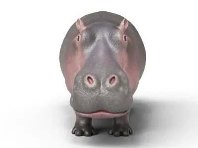 Hippopotamus Animal Rigged Low-poly 3D model