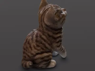 Kitten 3D Model Low-poly 3D model