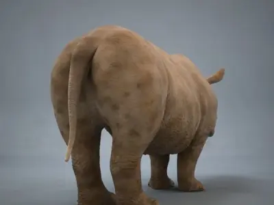 Rhino rhinoceros 3D model get